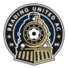 雷丁联